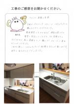 ������淴���Į������
