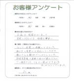 ���ɸ����𷴻���Į������
