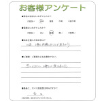 ���ɸ���ǻԡ�����