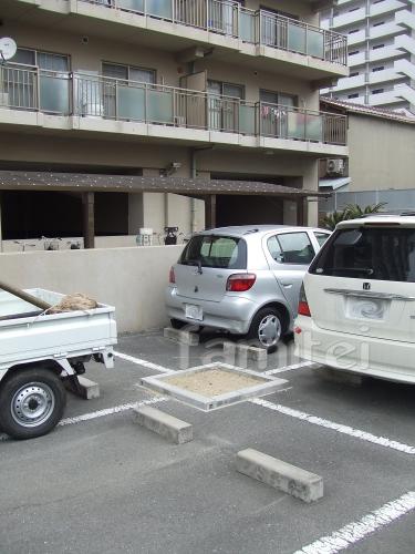 �ܹ���