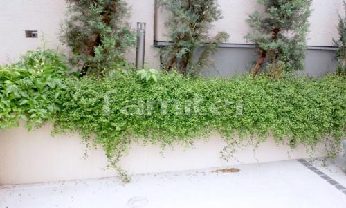 �մ�����