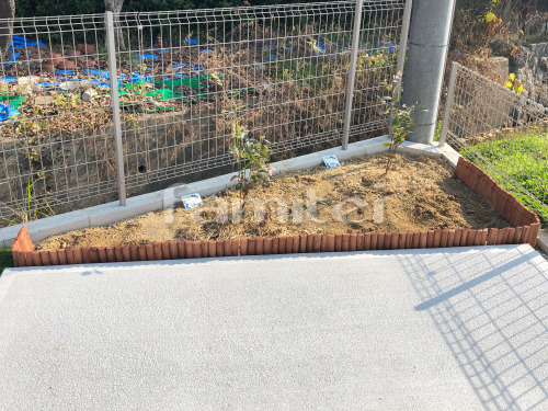 ��󥬲��� ��˥��� �������� ����Х�����å�