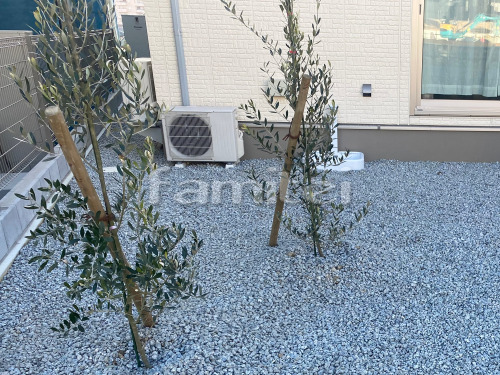 ����ܥ�ĥ꡼ ���꡼�� ���м� ����