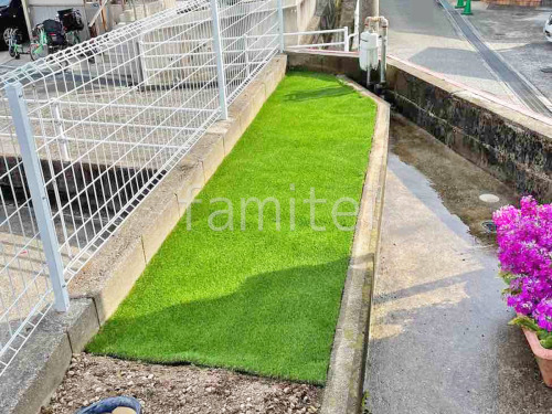 �͹��� ���𥷡��Ȳù� �襷�ߥ��ӿ� �ꥢ��͹��� 35mm 