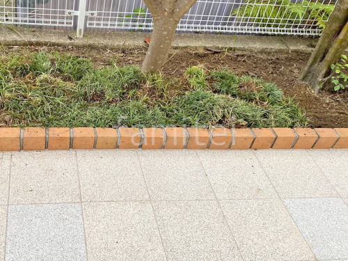 ���Ÿ��ڤ��� ��˥��� ��������