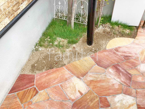 �����ĥ�� �ʾ���Ž���  �����ĥ��Τ� �ե�ߥ� �С����ȡ���Ĵ