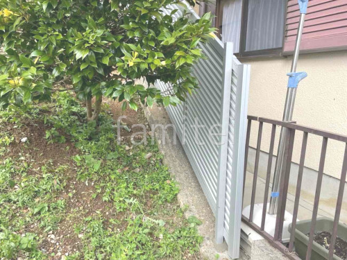 ���ο� �ʥ����륷��С�