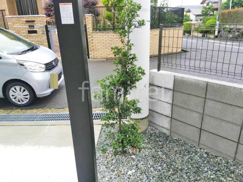 ����ܥ�ĥ꡼ �ҥ��饮 ���м� ����