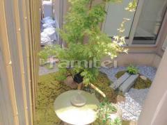 和風庭園 本格築山の坪庭 お庭セット シンボルツリー いろは紅葉 落葉樹 植栽