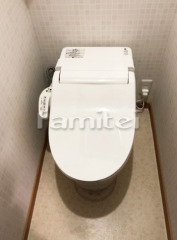 ���󥯥쥹�ȥ��� Panasonic�ѥʥ��˥å� ���饦����V