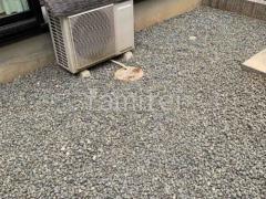 �Х饹�ߤ� ���𥷡��Ȳù�