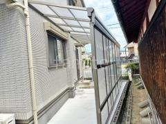 ���ο� �����Х󥰥졼 ������ ������