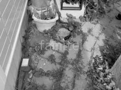 �ܹ���