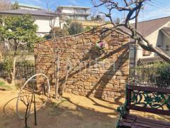 �ɥ�����ĥ�� ��˥��� �֥쥷�����ȡ��󥹥��