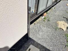 Ω����  ��˥��� ���ץ쥹�����60 �ظ�1���� 