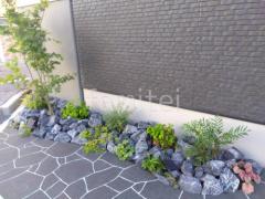 植栽 シンボルツリー落葉樹 イロハモミジ 下草 ロックガーデン ユニソン ワズロック アオバ